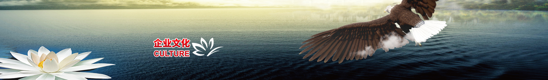 企业文化-UG环球·(中国区)官方网站